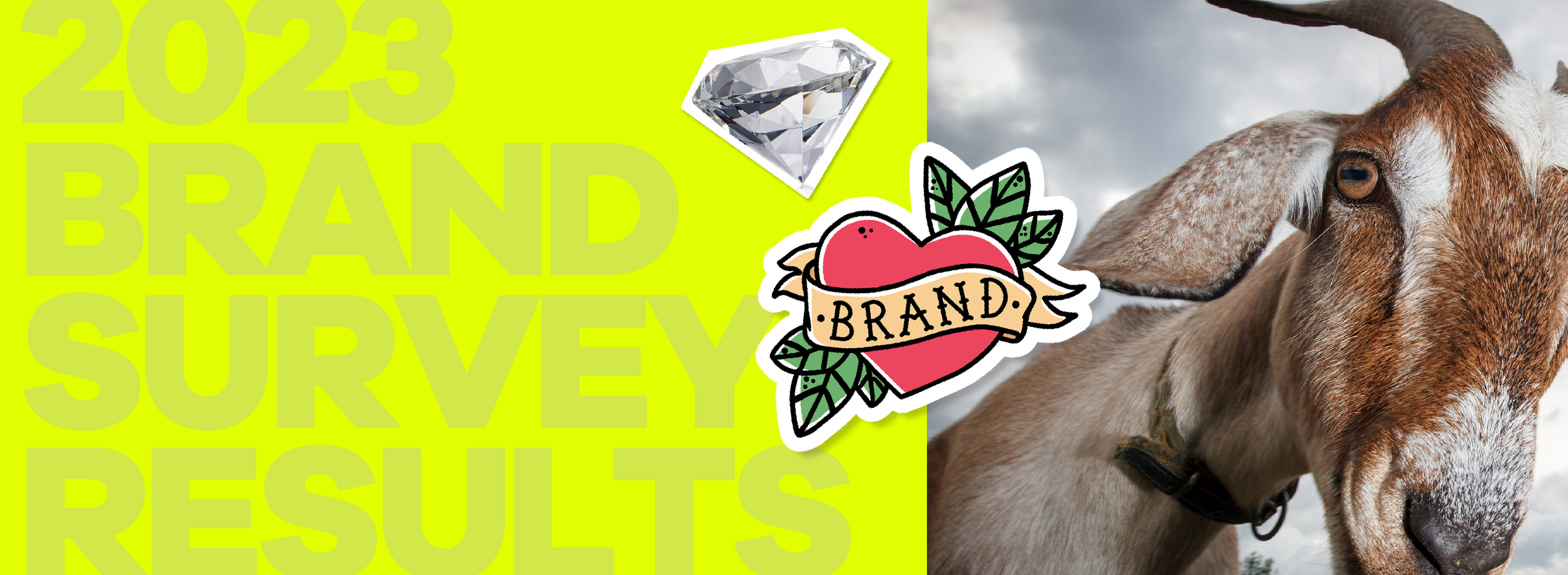 TSC-2023-Brand Asset-Promo_R1_LP Header